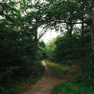 Lorem Ipsum hdas been  (1) (1)